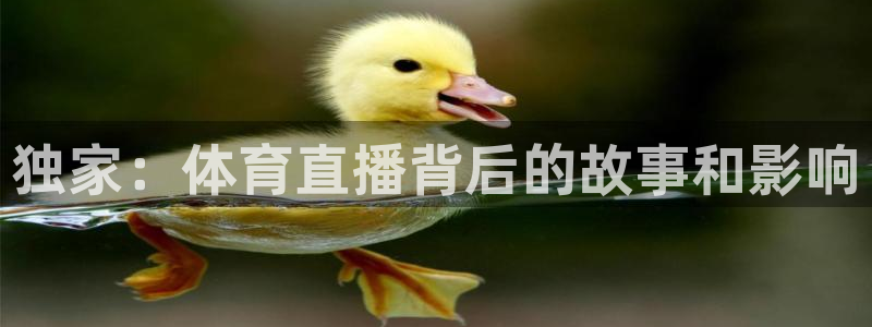 独家：体育直播背后的故事和影响