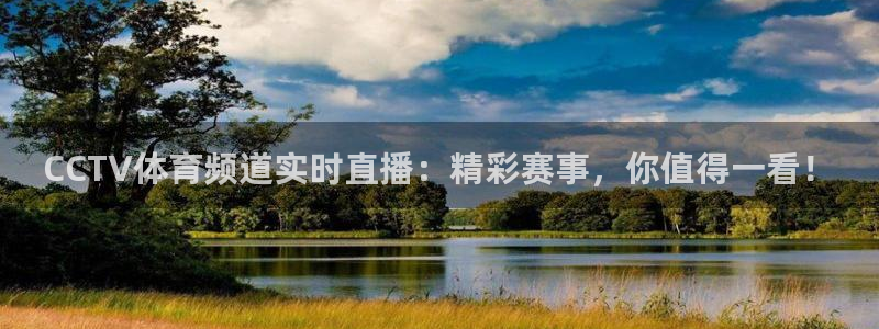 CCTV体育频道实时直播：精彩赛事，你值得一看！