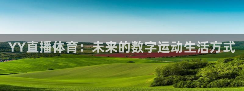 YY直播体育：未来的数字运动生活方式