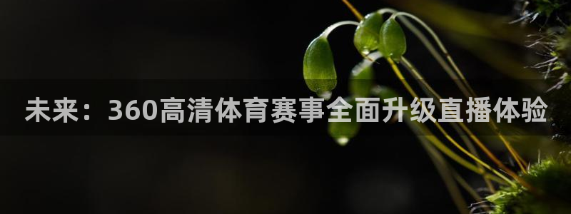未来：360高清体育赛事全面升级直播体验