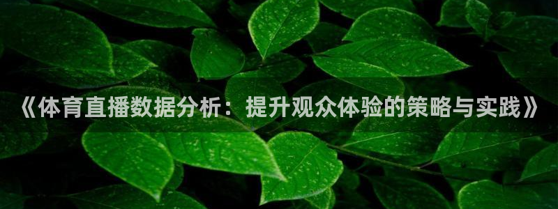 《体育直播数据分析：提升观众体验的策略与实践》