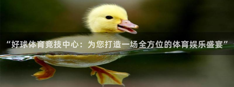 “好球体育竞技中心：为您打造一场全方位的体育娱乐盛宴”