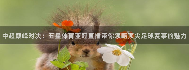 中超巅峰对决：五星体育亚冠直播带你领略顶尖足球赛事的魅力