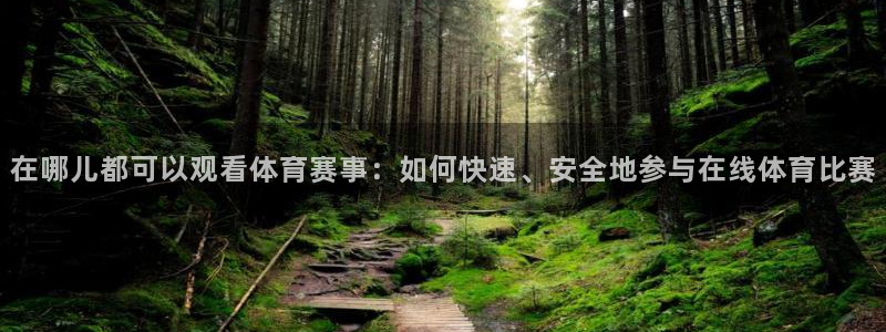 在哪儿都可以观看体育赛事：如何快速、安全地参与在线体育比赛