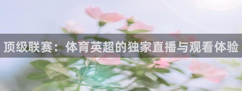 顶级联赛：体育英超的独家直播与观看体验