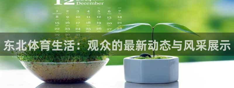 东北体育生活：观众的最新动态与风采展示