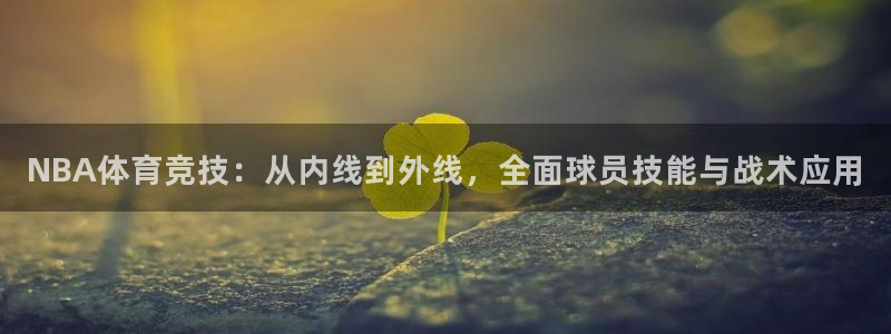 NBA体育竞技：从内线到外线，全面球员技能与战术应用