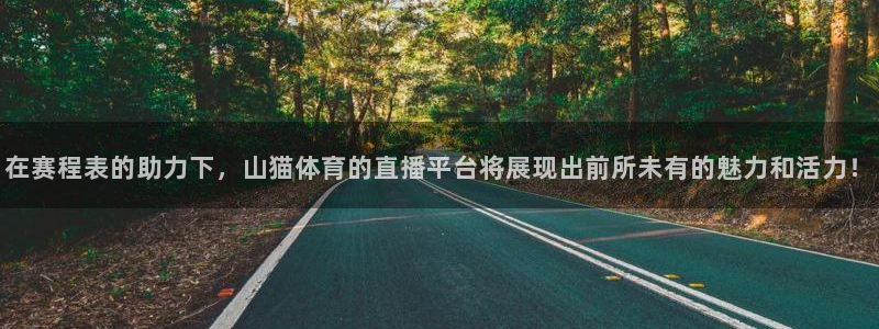 在赛程表的助力下，山猫体育的直播平台将展现出前所未有的魅力和活力！