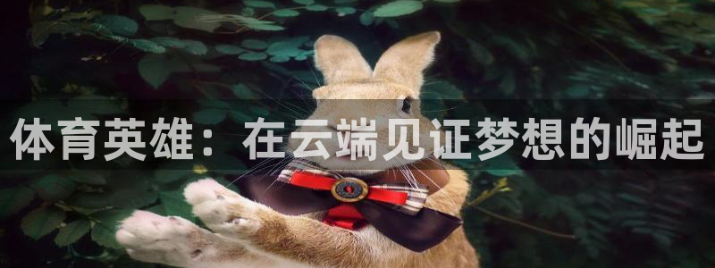 体育英雄：在云端见证梦想的崛起