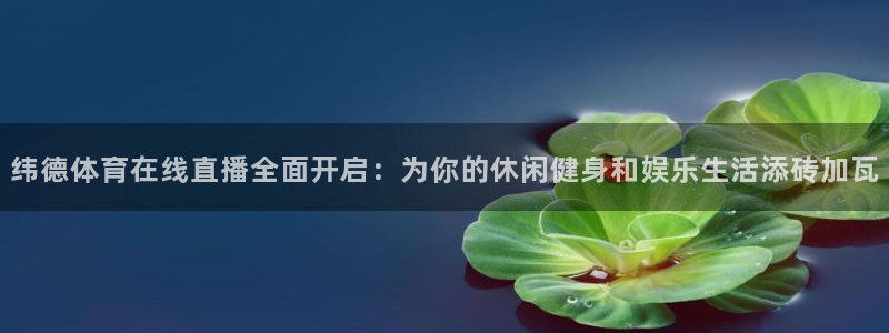 纬德体育在线直播全面开启：为你的休闲健身和娱乐生活添砖加瓦