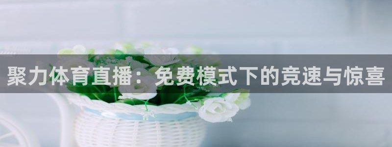 聚力体育直播：免费模式下的竞速与惊喜