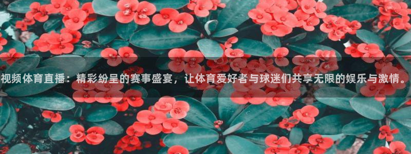 视频体育直播：精彩纷呈的赛事盛宴，让体育爱好者与球迷们共享无限的娱乐与激情。