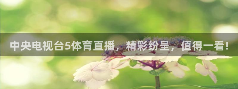 中央电视台5体育直播，精彩纷呈，值得一看!