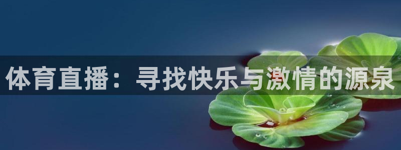 体育直播：寻找快乐与激情的源泉