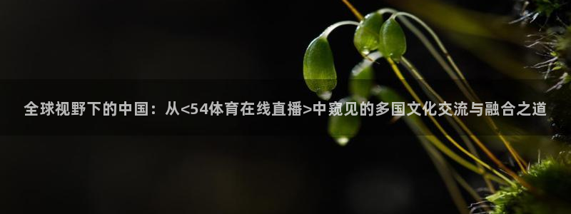 全球视野下的中国：从<54体育在线直播>中窥见的多国文化交流与融合之道