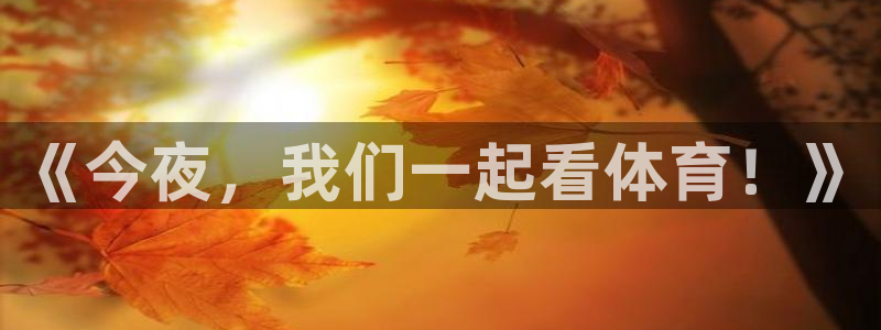 《今夜，我们一起看体育！》